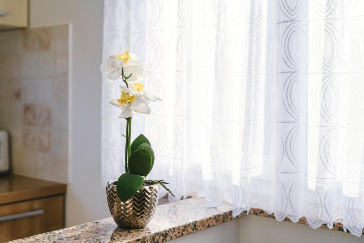Apartments Mirela Koper Zewnętrze zdjęcie